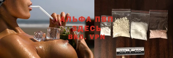 СК Новодвинск