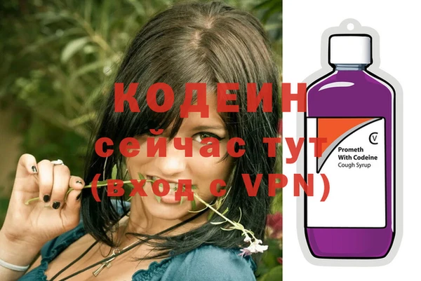СК Новодвинск