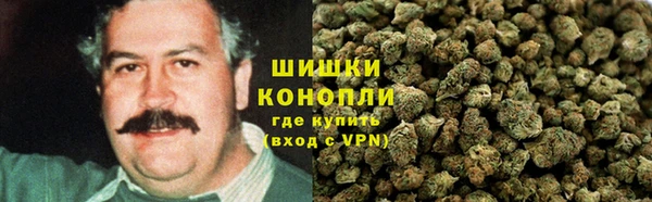 СК Новодвинск