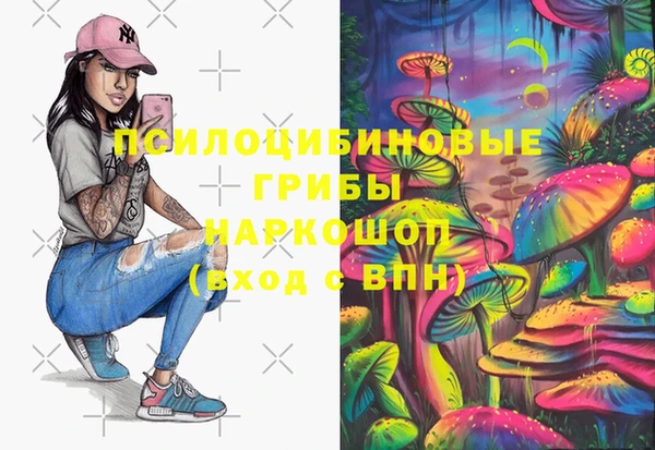 СК Новодвинск