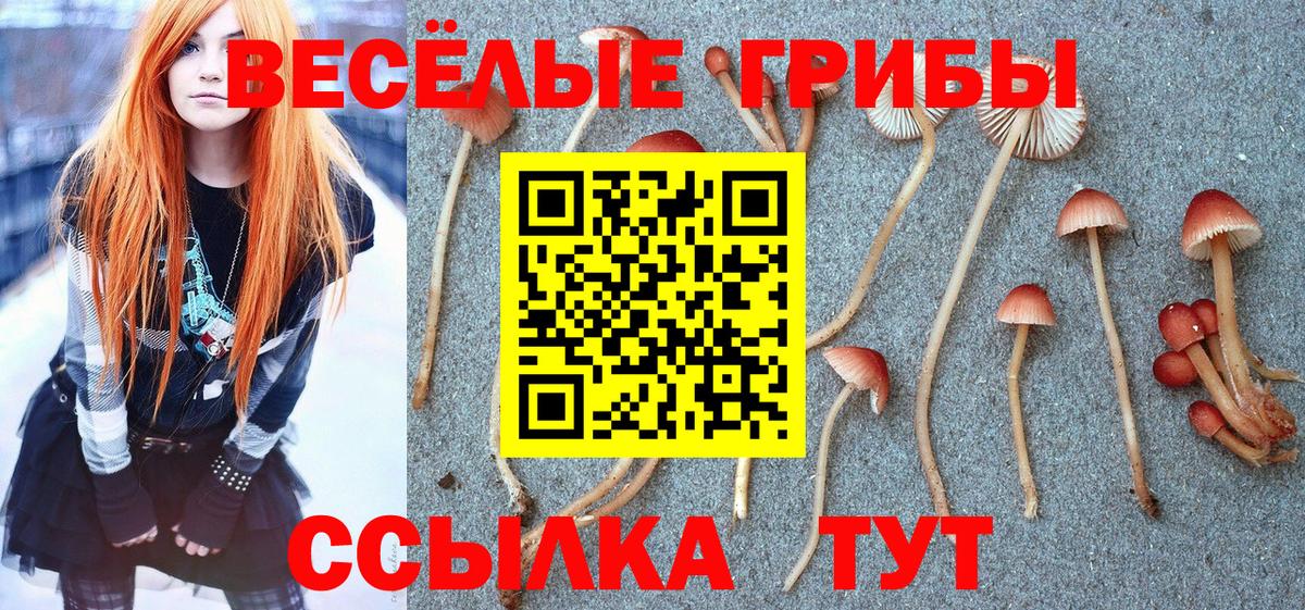 Псилоцибиновые грибы Psilocybine cubensis Балабаново