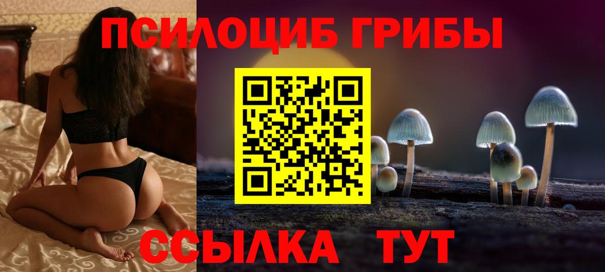 Галлюциногенные грибы Psilocybe  Балабаново 